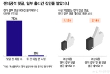 806건 젠더 혐오 댓글, 783명이 작성…'혐오의 문법' 일상이었다