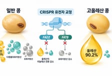 "올레산 90% 넘었다"…김현욱 세종대 교수팀, 고올레산 콩 개발