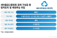 "수십억 받아내자"… 새마을금고, 구상금 소송·추심 효율 높인다