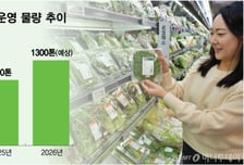 "오이값 치솟아도 품절 걱정 덜었다"…롯데마트가 찾은 해법