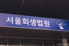 서울회생법원, 2년간 최저임금 미만 수령자 "개인회생 변제기간 단축"