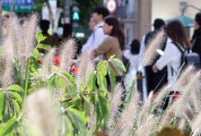 [내일 날씨] 금요일 출근길 더 춥다…강풍에 체감온도 '뚝'