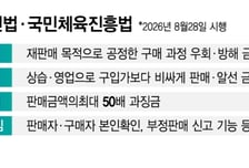 암표 조여도 티켓 장터 '북적'…솜방망이에 '표' 안나는 플랫폼 규제