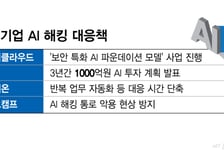 사람 손으론 못 막는다…보안 업계 "해킹 방어에도 AI 도입해야"