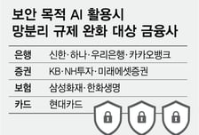 망분리 규제 '프리패스' 신한·하나銀 뚫렸다..AI, 해킹 잡을수 있나