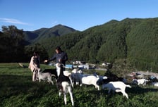 "벌써 한파라고?" 하루 새 10도 뚝…태백·평창산지 역대 가장 이른 특보
