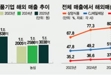 비비고·불닭 해외 생산 더 늘린다…K뷰티, 본고장 미국·유럽 공략
