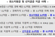 전세사기로 날린 보증금, 정부가 1/3까지 지원한다