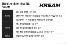 솔드아웃 접고 크림 독주…네이버, 적자에도 1300억 쏟아붓는 이유