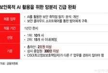 AI 해킹에는 AI로 방어?… 중소·2금융권 "하고 싶어도 못해"