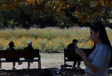 [내일 날씨] 전국 대체로 맑음…일교차 15도 안팎 큰 일교차 주의