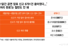 [단독]암표 신고 하루 200건 쏟아지는데 인력 2명…차단 10%도 못해