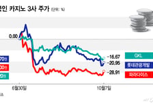 K관광 열기에도 싸늘한 카지노주…정책변수에 발목
