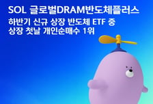 'SOL 글로벌DRAM반도체플러스'ETF, 상장일 개인순매수 몰렸다