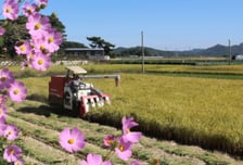 보호무역 파고 속 CPTPP 가입 딜레마…'수출 실익' vs '식량 주권'