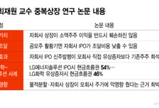 중복상장 '옥석 가리기'…형식 아닌 '가치 이전' 봐야