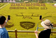 "김제 축제서 김밥 먹고 구토·설사"...260명 집단 식중독 의심
