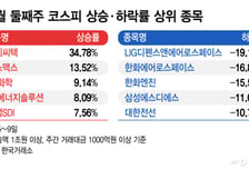 107조 잔치에도 주가 '뚝'…반도체 비틀대는데 이 종목 왜 뛰지?[김근희의 증시랩업]