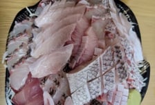 쿠팡 먹통에 배달 음식이 라이더 '공짜밥'으로?…'자폐' 인증샷 논란