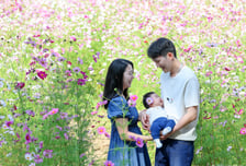 퇴사 고민하던 직원도 남았다…서울시, 일·육아 병행 '기업지원'