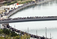 127만명 불러모은 북항 흑상어 '부캉이'…수온 하락 앞두고 '탈출' 과제