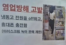 냉동고 전원 뽑고 휴대폰 충전…"아이스크림 다 녹아" 업주 '분통'