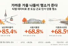 "단풍, 멀리서 볼 필요 있나?"…남산·서울식물원·기흥호수공원 인기↑