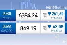 "주식창 못 보겠어" 코스피 3.65% 급락...파랗게 질렸다