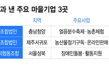 알프스마을은 겨울에? '사계절 콘텐츠' 발길 몰렸다