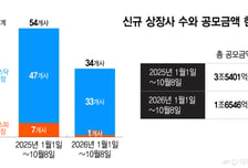 "상장 포기" 투자금 도로 뱉었다…중복상장 규제에 마른 기업 자금줄