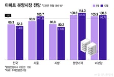 볕 드는 수도권, 그늘 짙어진 지방… 분양시장 온도차