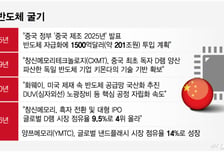 中 차세대 D램, 삼전닉스 주도판 흔든다?…"기술격차 3년" 업계 선긋기