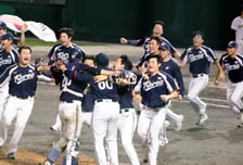 또 하나의 가을야구 'APBC 日 직관 떠나요' KBO, 도쿄돔 원정 응원단 운영