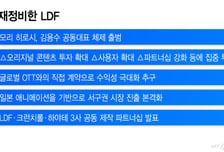 "일본 애니 타고 서구권 뚫는다"…네이버웹툰, LDF 수장 교체로 재정비