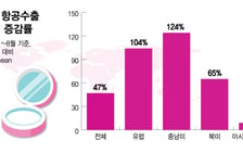 반도체만 효자 아니다…K뷰티 5.7만톤 날자 대한항공 '화물 특수'