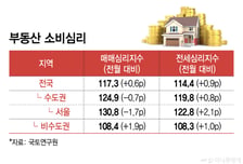 전세는 오르고 새 아파트 입주는 '대출 발목'…수도권 매매심리 주춤