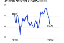 나스닥은 올랐지만 반도체주는 8일째 하락…수요 견조한데 자본이 문제