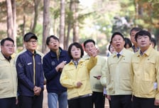 추미애 다녀간지 나흘 만에…가평군 소나무재선충병 '특별방제구역'