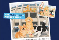 펫션쇼·펫림픽부터 독댄스까지…서울동물행복위크, 즐겨볼까