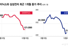 반도체 투톱 반등에도 'AI 빚' 그늘…가격 왜곡 가능성은