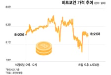 금리향방에 울고웃고…비트코인 돌고돌아 8만2000달러