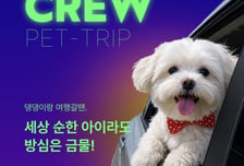 롯데손보, 반려견 돌발행동부터 견주 상해까지…'댕댕이랑 여행갈땐 보험' 출시