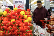 "반값 됐네" 파프리카·샤인머스캣 더 싸게 판다...농산물 할인 지원