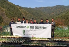 다산바이오, '강원 지역 무 신품종 현장 평가회' 열어