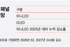2년 만에 75% 증발…프리미엄 노트북서 밀려나는 미니LED