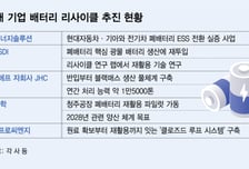 LFP 폐배터리 빠르게 느는데..."뜯을 수록 손해?" 재활용 딜레마