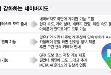 계기판 된 네이버지도, 테슬라 운전자까지 품었다