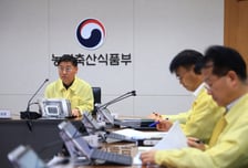 철새 따라 돌아온 고병원성 AI…순천만 첫 검출, 전국 방역 비상