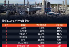 [단독]돈 안되는 석화… 생산설비 줄이는 한화
