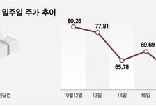 주가 떨어지는 AI기업… 월가선 "담아라"